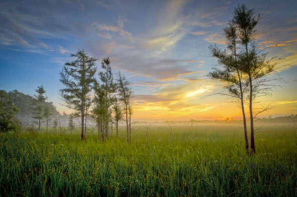 Town of Big Cypress