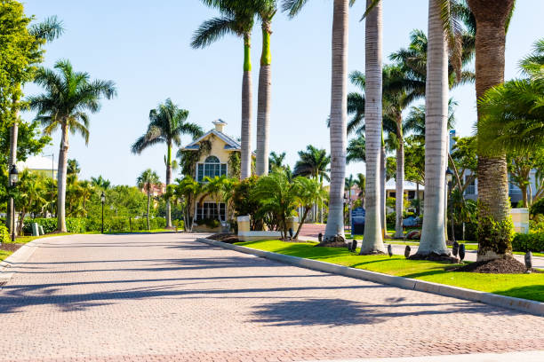 Barefoot Beach